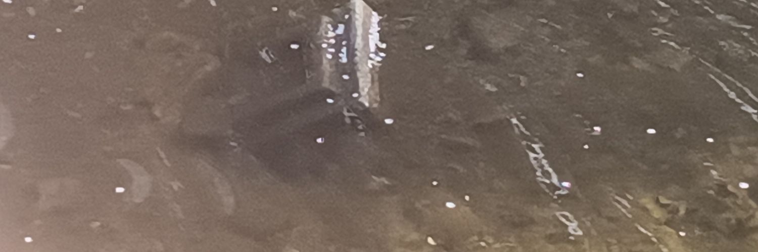 ABanan581347's profile banner image