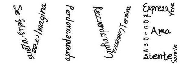Johana Palacio banner