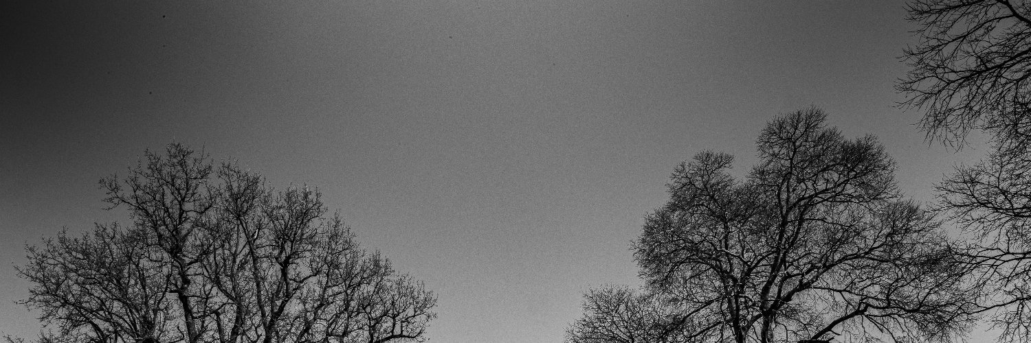 stanerguy's profile banner image