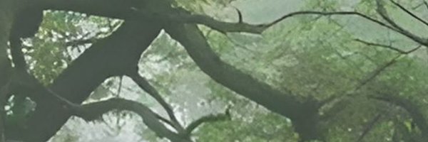 kqlixe Profile Banner
