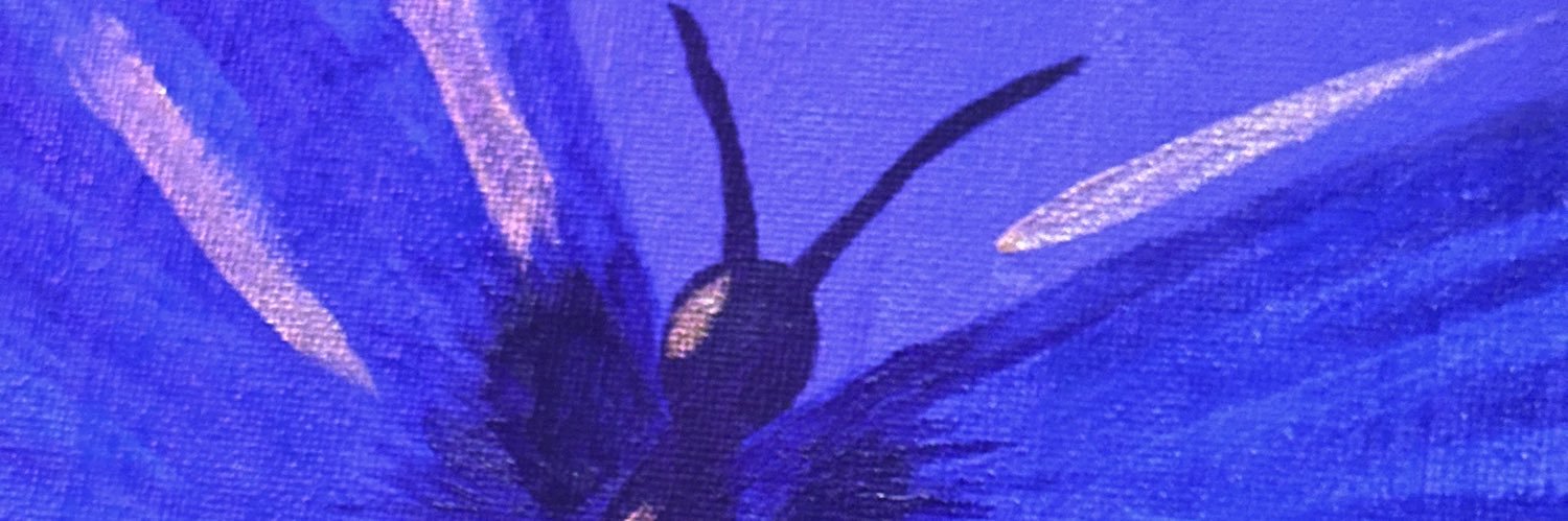 321hfx's profile banner image
