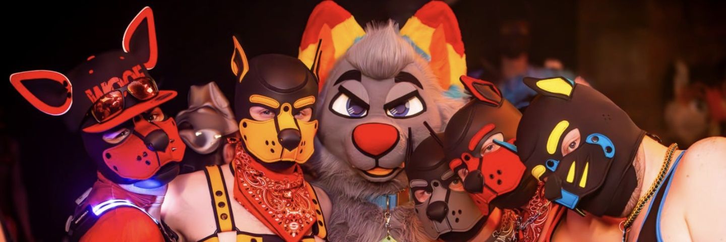 Fox banner