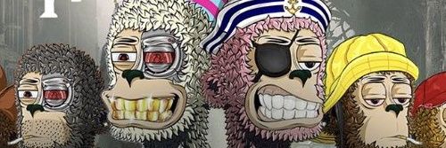 Curvipal's profile banner image