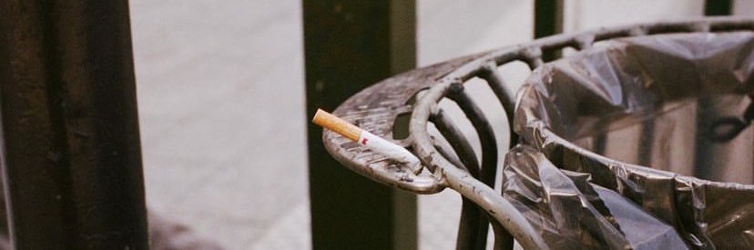 春 banner