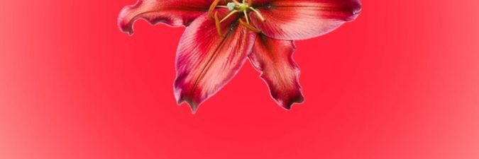 AngelMiiih's profile banner image