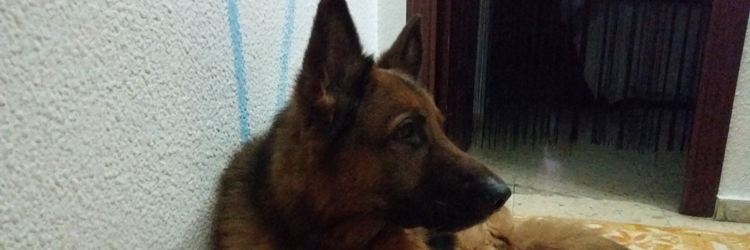 _dv12's profile banner image