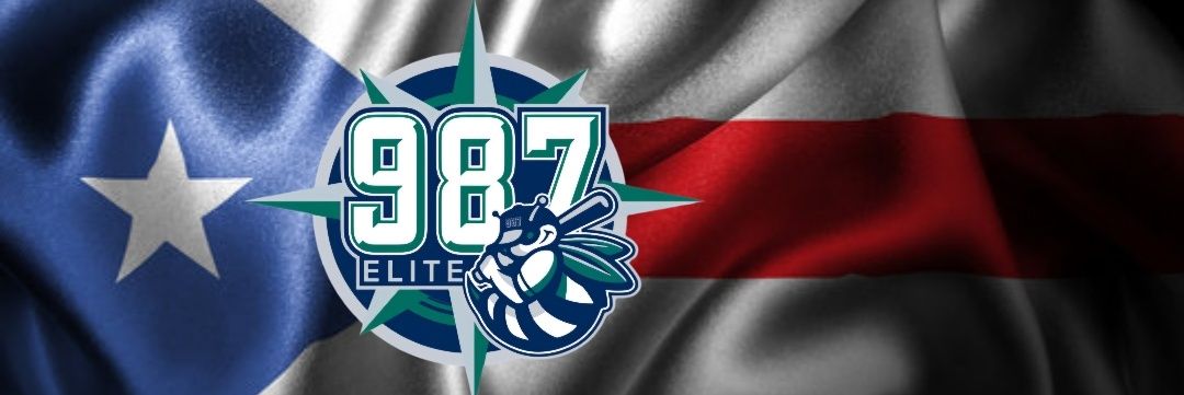 987 ELITE BASEBALL banner