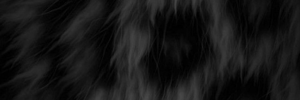 NaBchaa_'s profile banner image