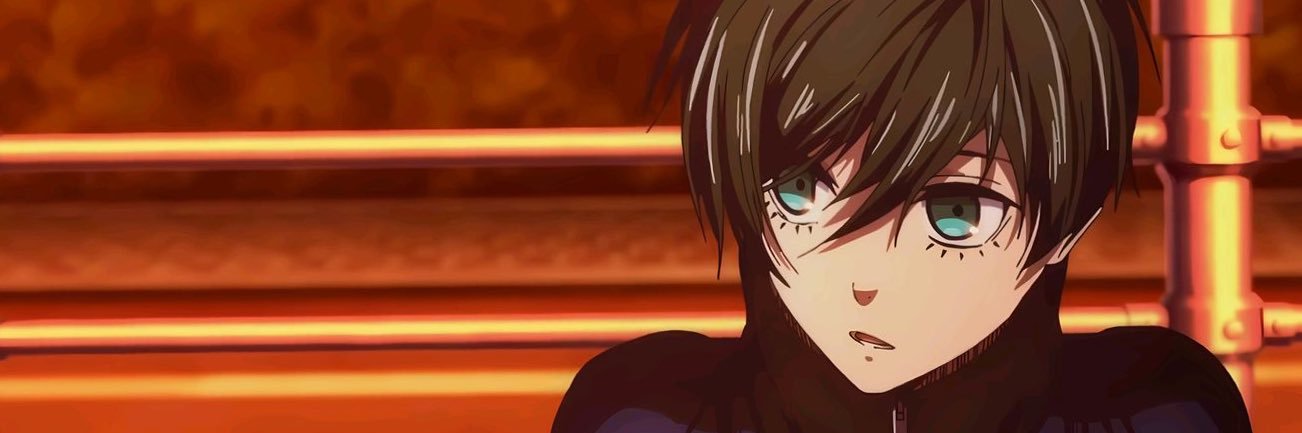 🦭 banner