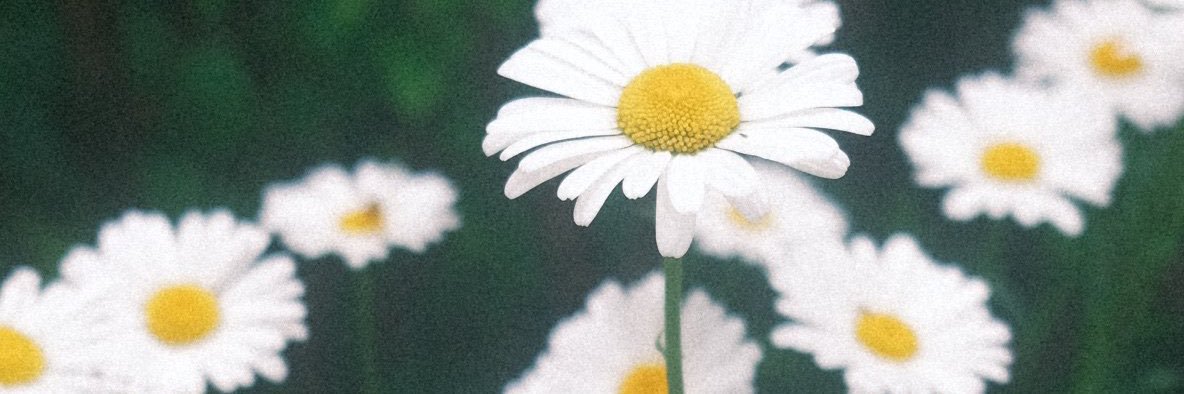 clould_ticket's profile banner image