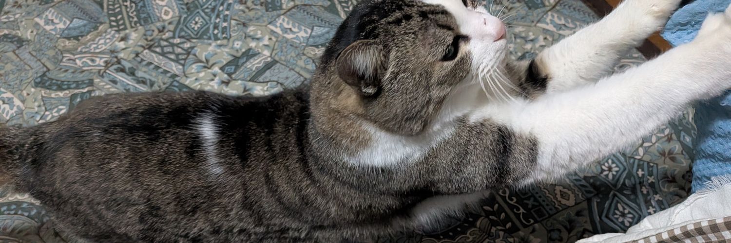 yopimaru11's profile banner image
