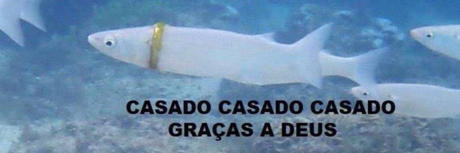 adri_vicentin's profile banner image
