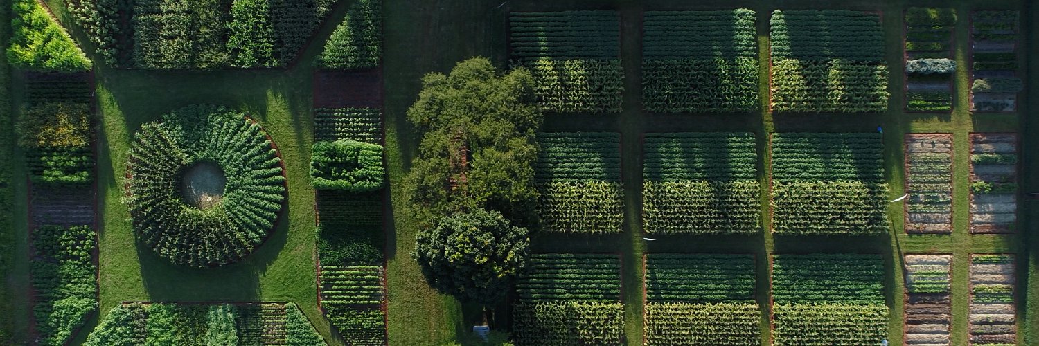 Foundations for Farming Zimbabwe banner