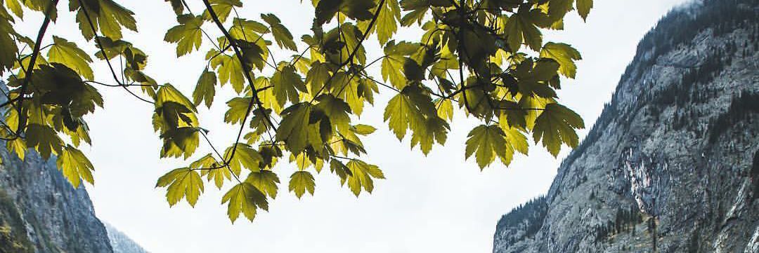 busrott's profile banner image