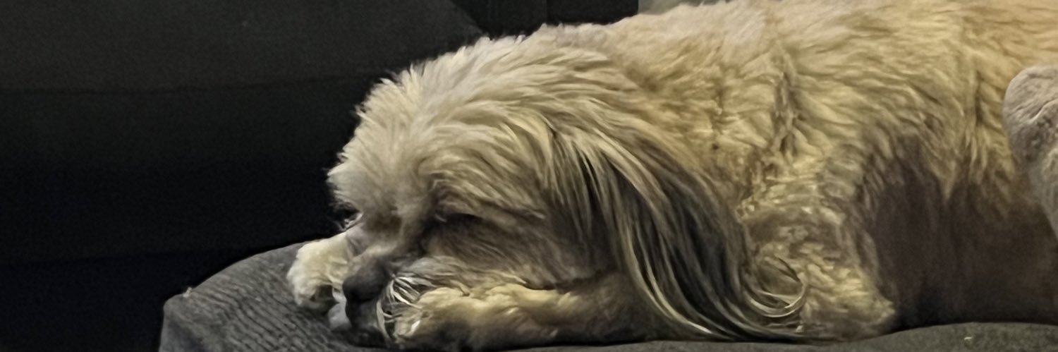 ChewyIsMyHomie's profile banner image