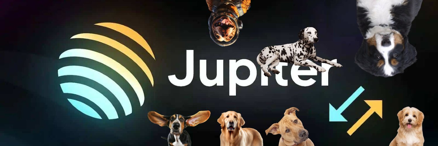 JUPDOGonsol's profile banner image