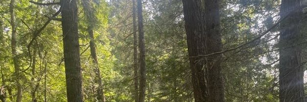 HaynesHannahM's profile banner image