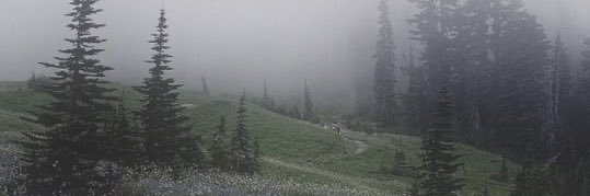 𝙳𝚘𝚐. banner