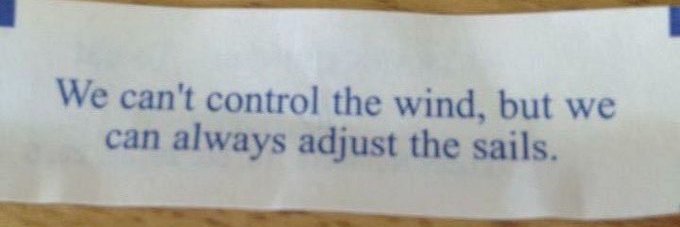 David is carnivore-ish banner