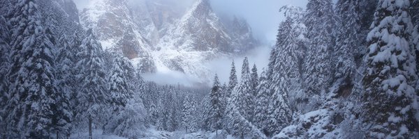 atkinsonmichael Profile Banner