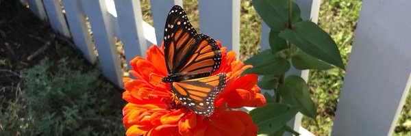 wildcolts Profile Banner