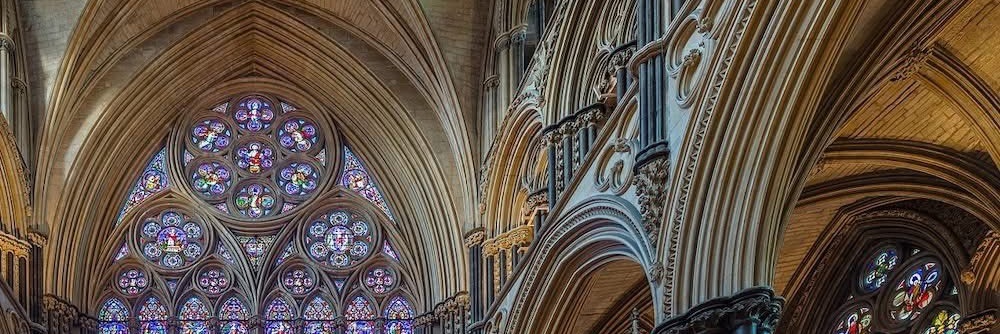 KosmoGrow🌌🌿 banner