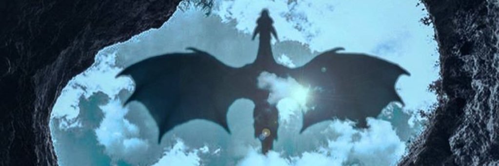 amandafarkas's profile banner image