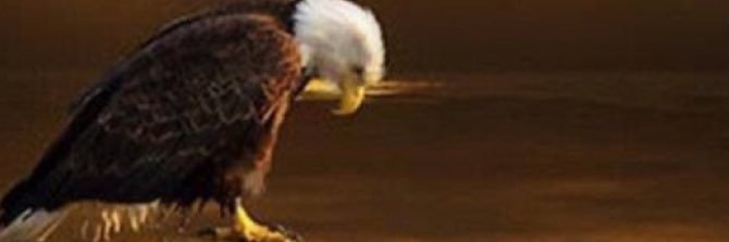 Charles Moulton banner