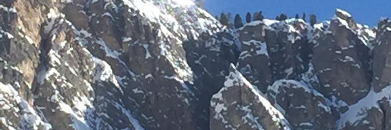 Daniele 🇪🇺 banner