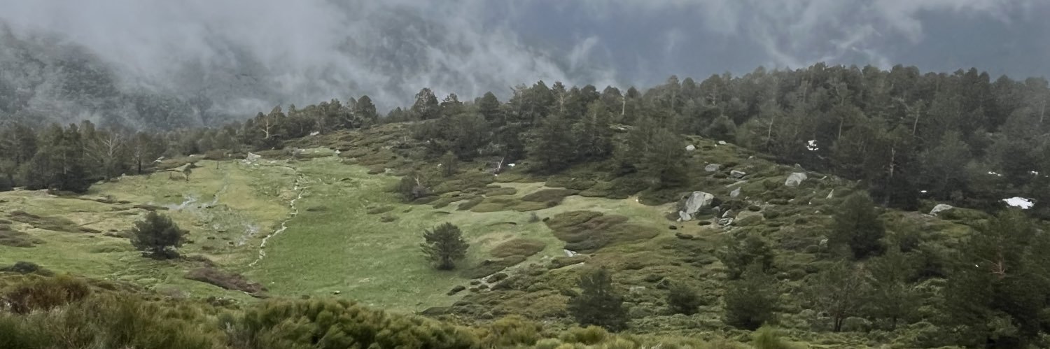_pereeaa's profile banner image