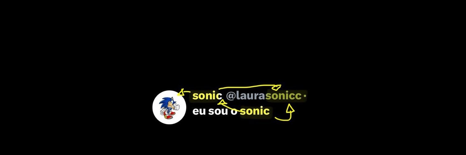 sonic's banner
