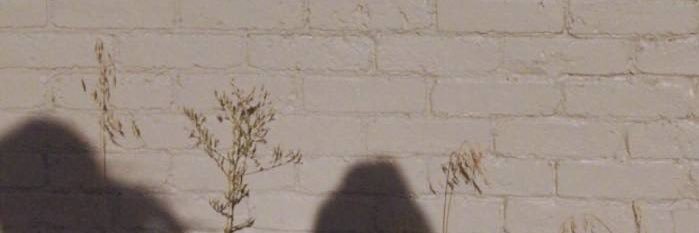 bbirove's profile banner image