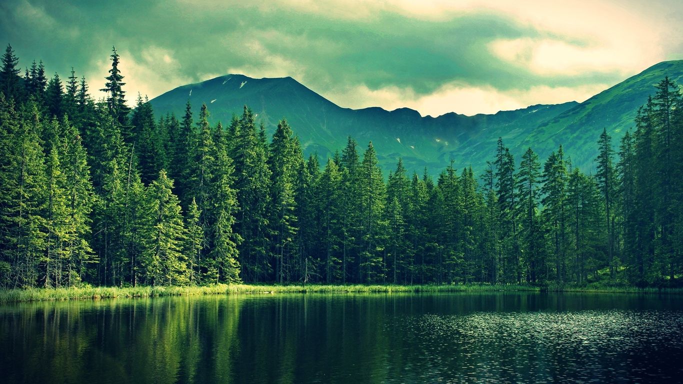Mateo 💋 banner
