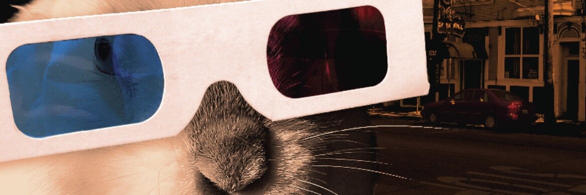 rabbits4ever banner