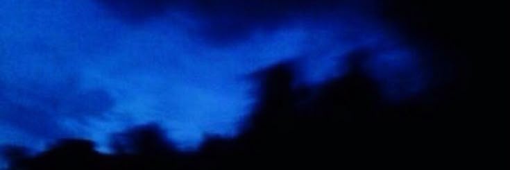 lariEverett's profile banner image