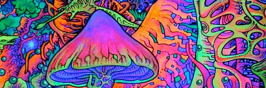 _aleynovic_'s profile banner image