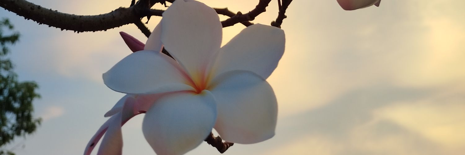 Mrman0069's profile banner image