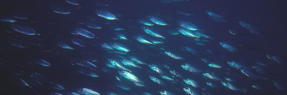 cqitvi's profile banner image