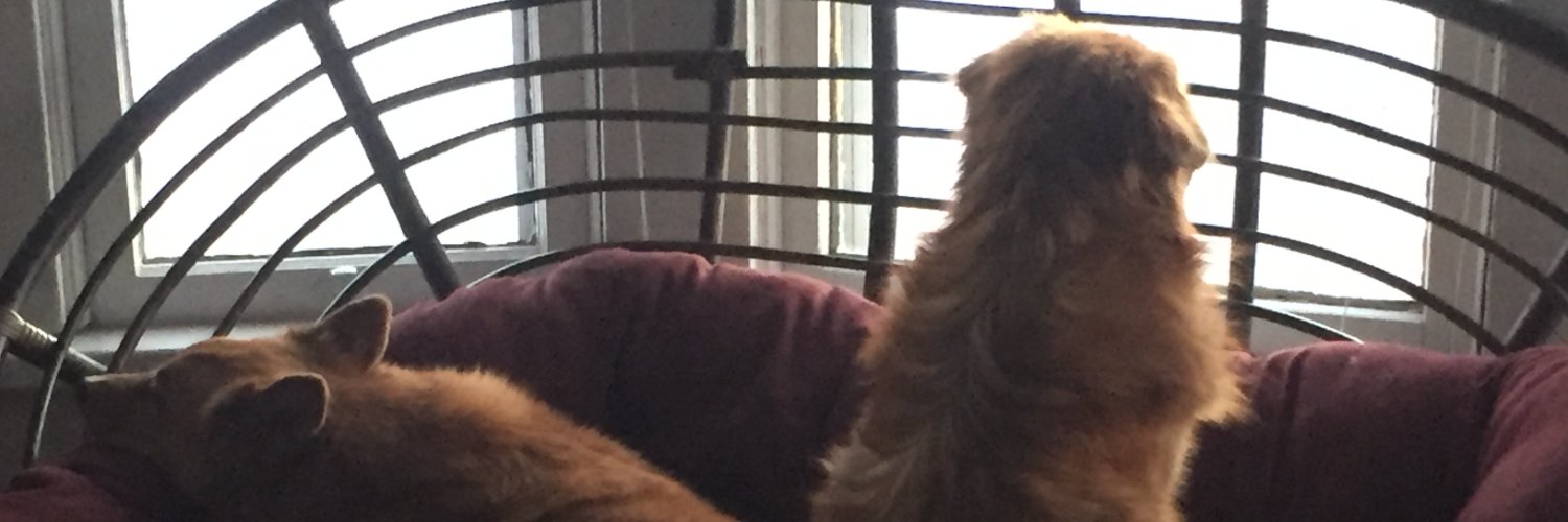 melburkeet's profile banner image