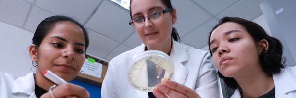 vipunachi Profile Banner