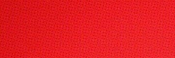 Roooo banner