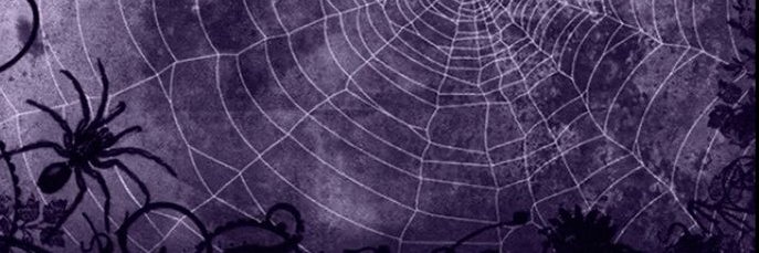 ST4RSEEK3R's profile banner image