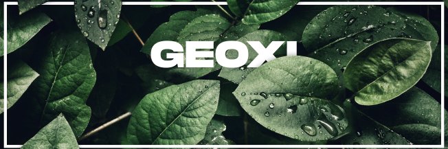 GeoxiFN's profile banner image