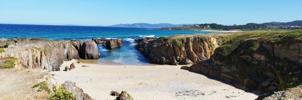 vieira_colab Profile Banner