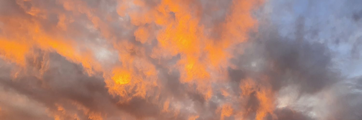AlamMD_'s profile banner image