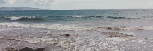 davegerryjr Profile Banner