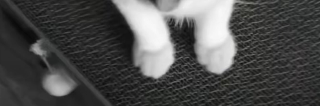 t0ng_inyourheart banner