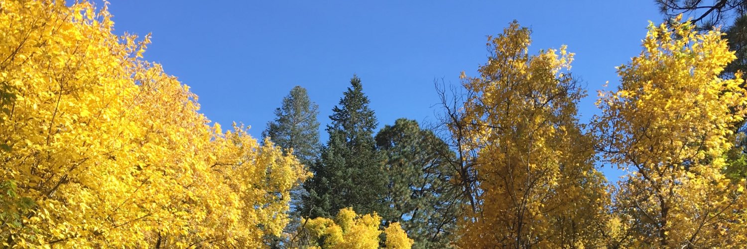 t_train's profile banner image