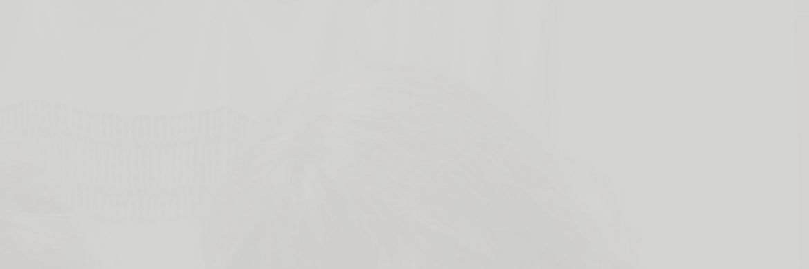 nina's banner