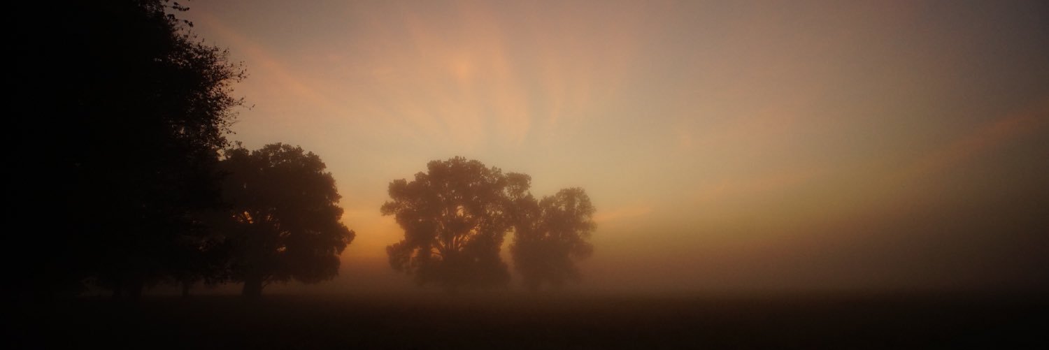 David Morrison banner